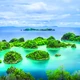 Raja Ampat - Thiên đường cuối cùng của Trái đất