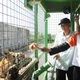 Du lịch Long An hướng đến phát triển ngành kinh tế quan trọng, là điểm đến du lịch vệ tinh của TP.HCM