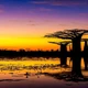 Những cảnh vật thiên nhiên lạ mắt chỉ có ở Madagascar 