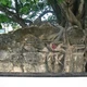 Nghi án nơi ngôi cổ mộ ở Cam Ranh 