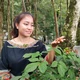 Ngày nảy ngày nay ở làng Xô Man 
