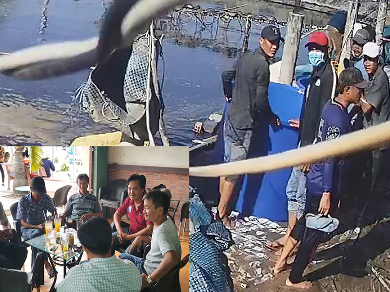 Vụ thương lái trộm tôm: Thêm nhiều người tố cáo