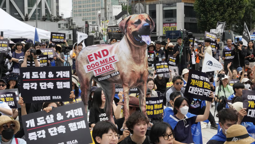 Hàn Quốc đặt mục tiêu cấm tiêu thụ thịt chó