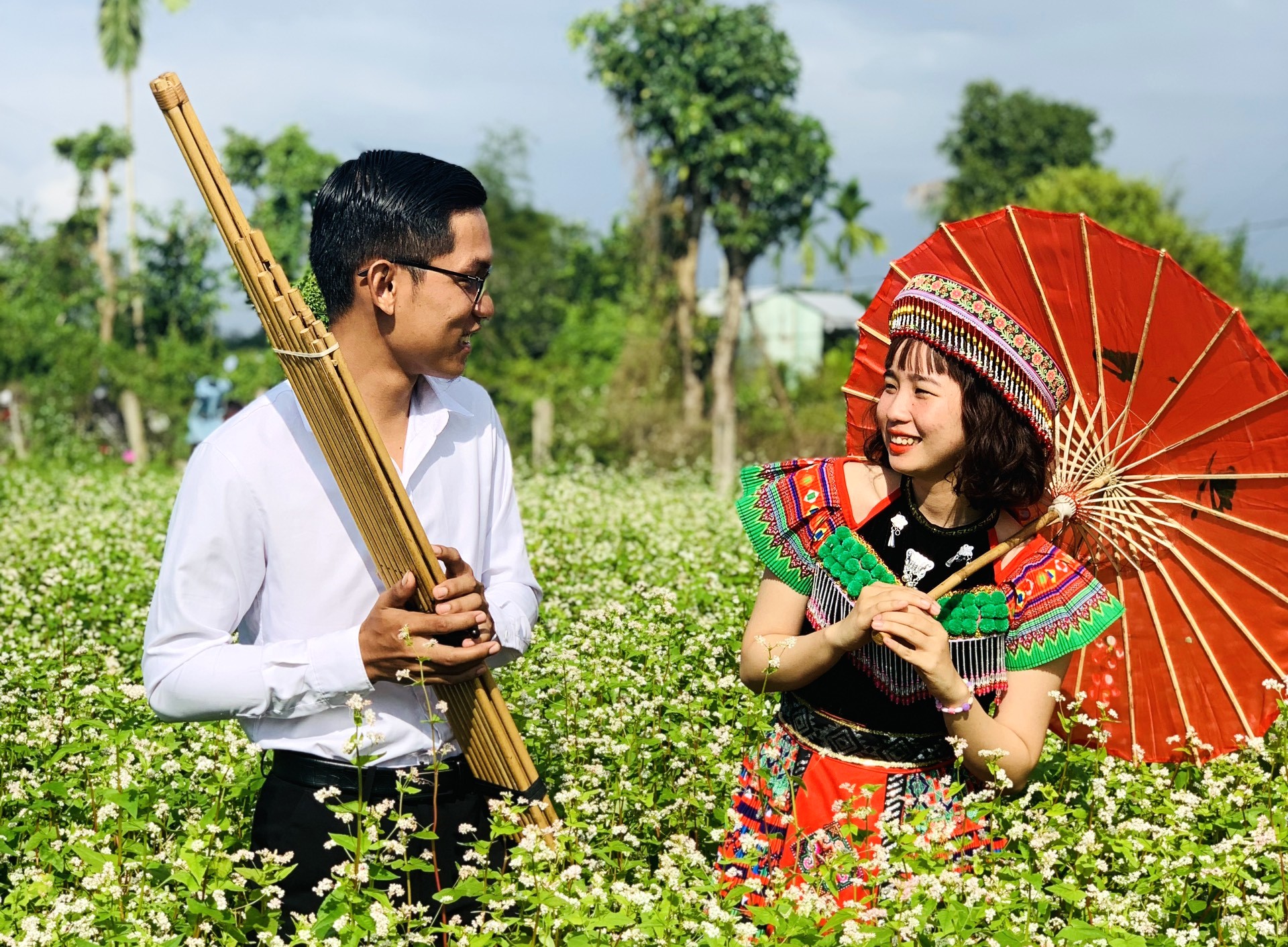 Chiêm ngưỡng vườn hoa tam giác mạch Hà Giang nở rộ tại xứ Quảng