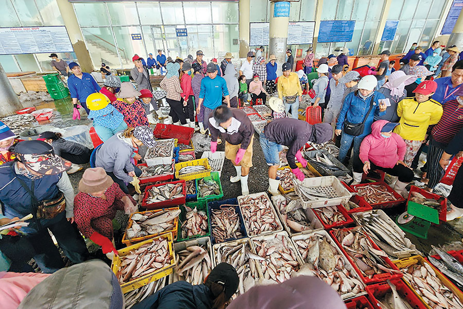 Cảnh mua bán tấp nập ở cảng cá Thọ Quang tại quận Sơn Trà, TP Đà Nẵng.