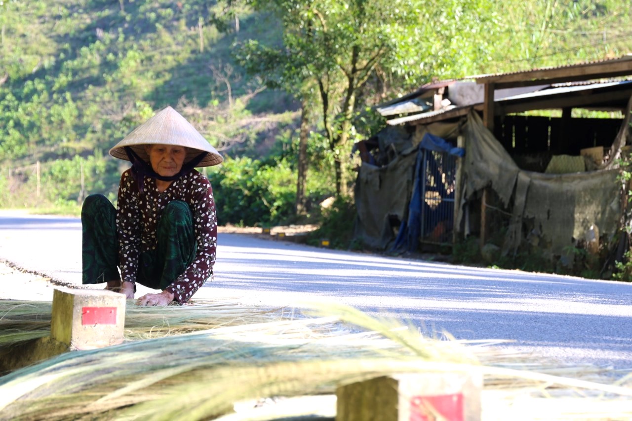 Ảnh: Đồng bào miền núi Quảng Nam kiếm bộn tiền mùa đót