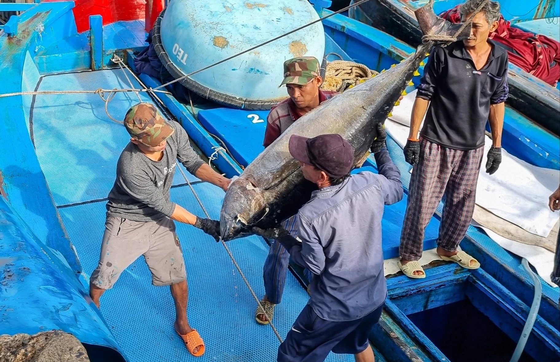 Để cá, tôm Việt Nam 'xuyên thủng' những thách thức mới