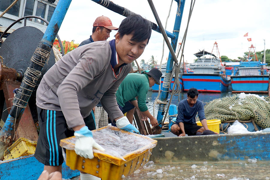 Ninh Thuận huy động nhiều nguồn lực đưa kinh tế biển bứt phá