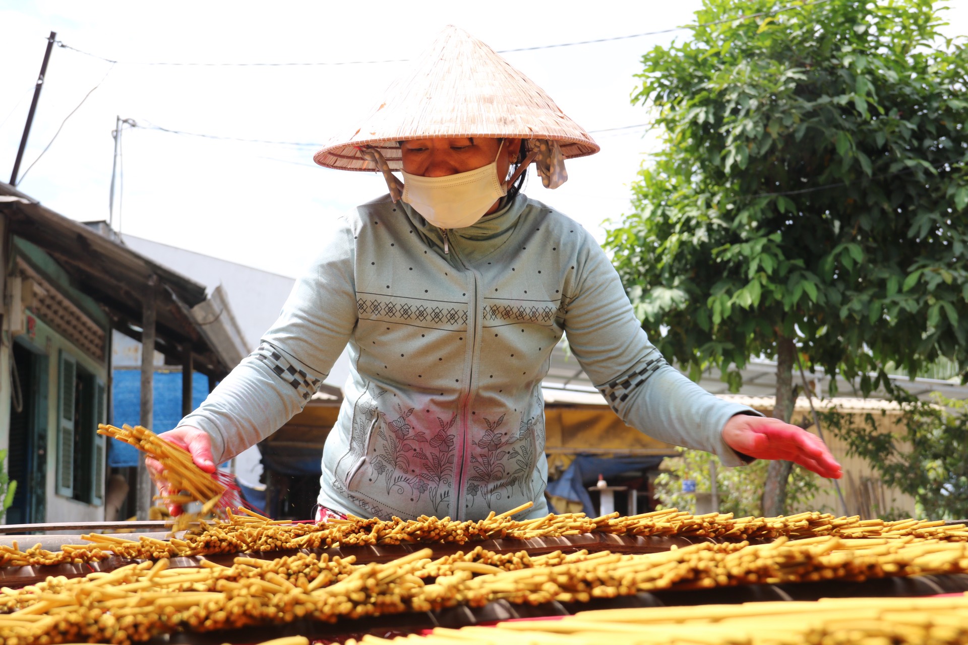 Làng nhang Lê Minh Xuân rực rỡ sắc màu, tất bật vào vụ Tết