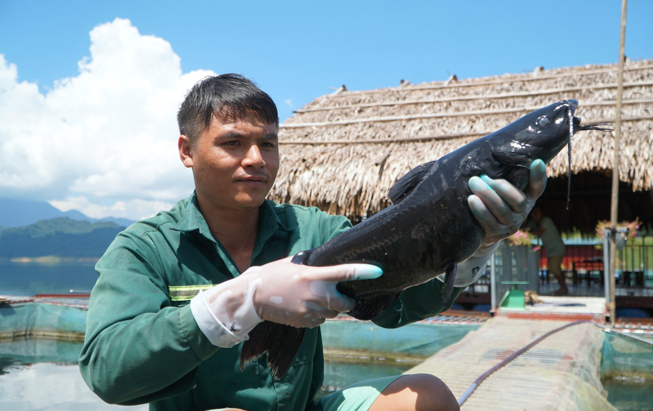 Cận cảnh nuôi cá ở lòng hồ thủy lợi lớn nhất Thanh Hóa 