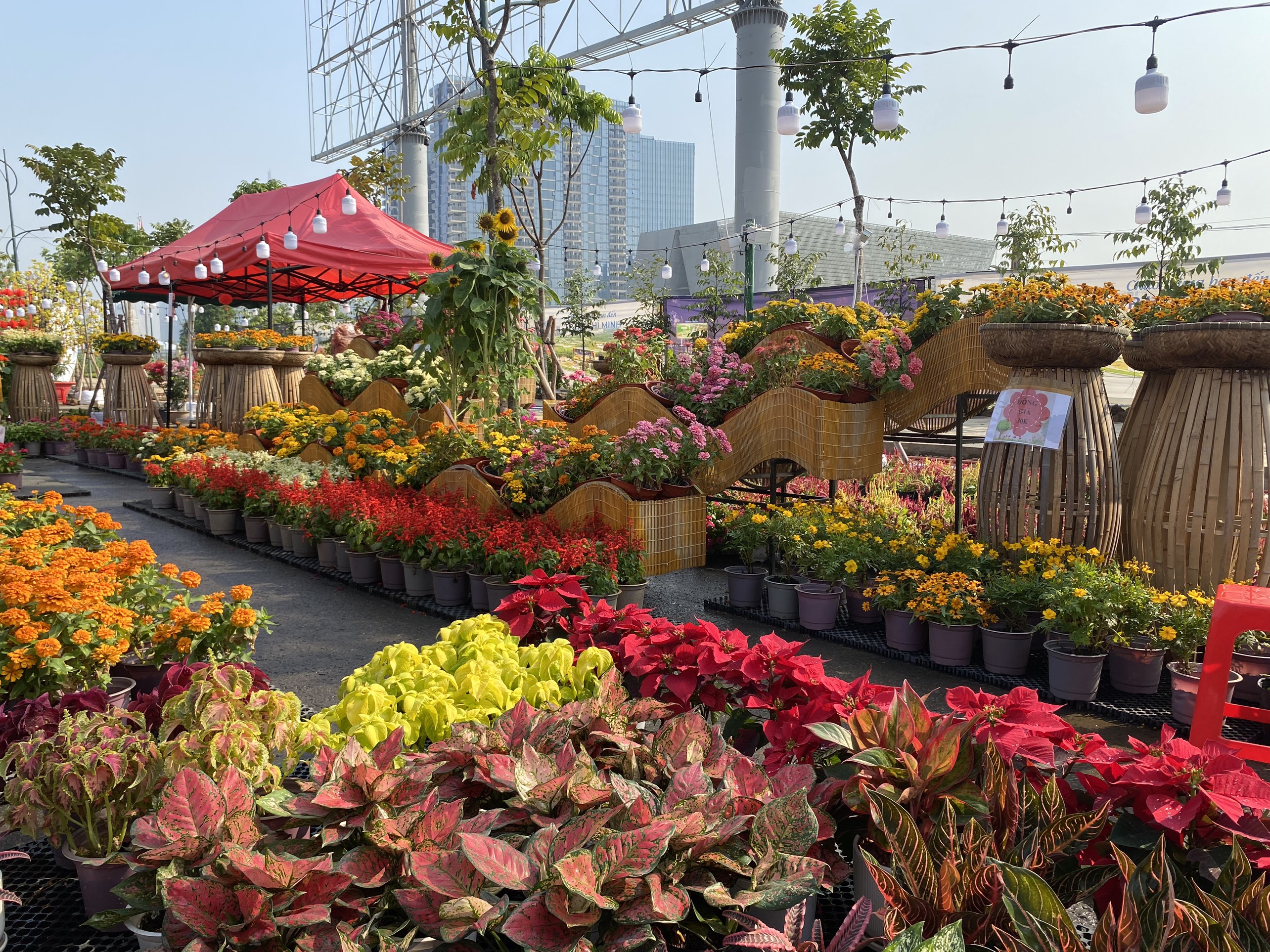 Đã mắt với chợ hoa Tết ở công viên bờ sông Sài Gòn