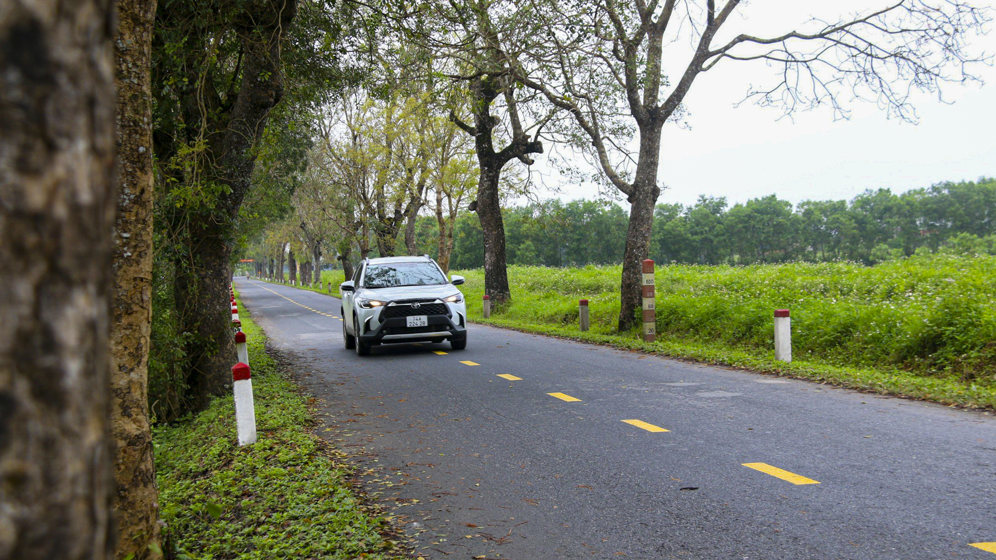 'Báu vật xanh' giải nhiệt ở vùng đất gió Lào cát trắng