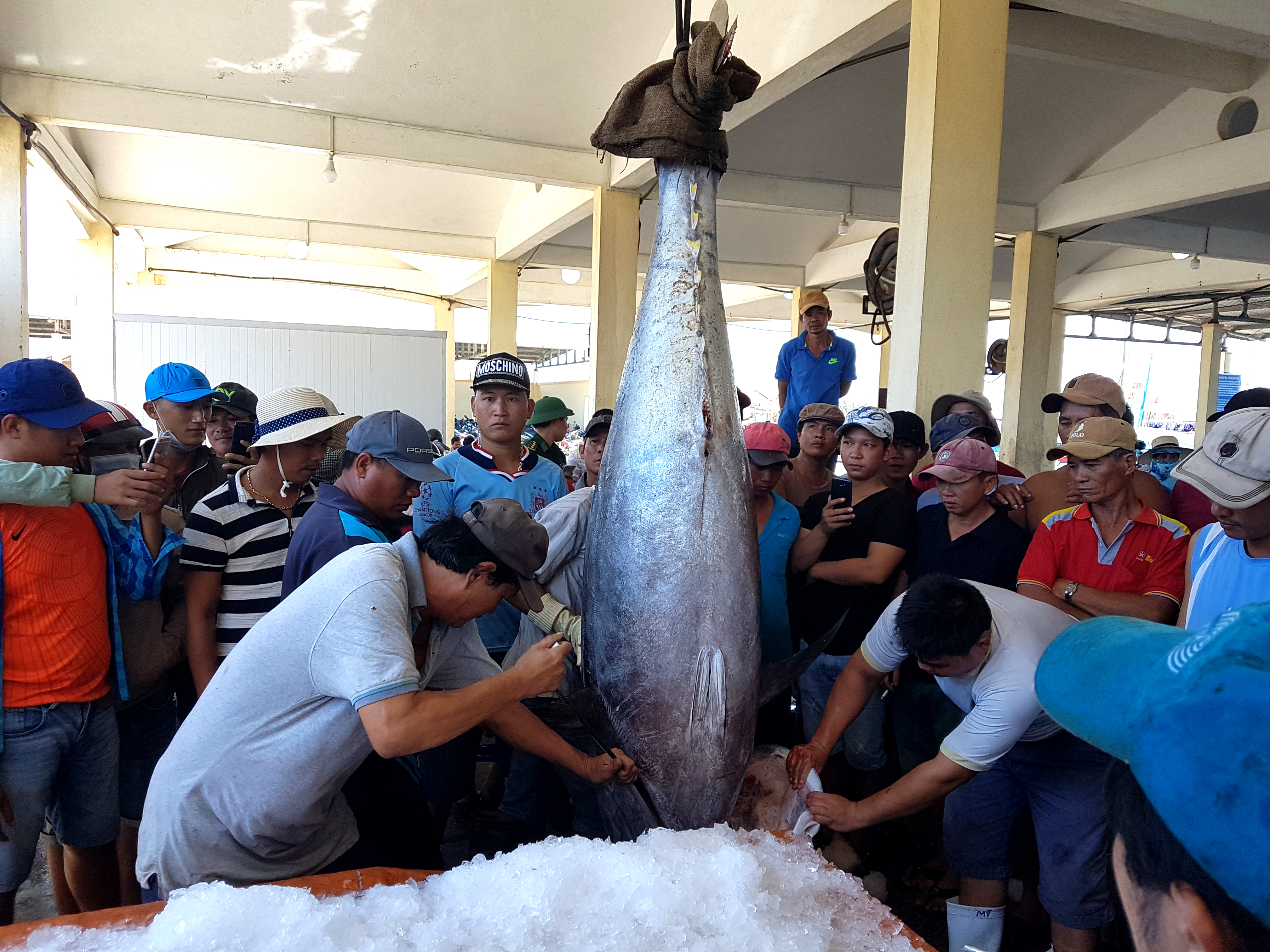 Phú Yên: Tạo cơ hội mới để hải sản chủ lực mở rộng thị trường 