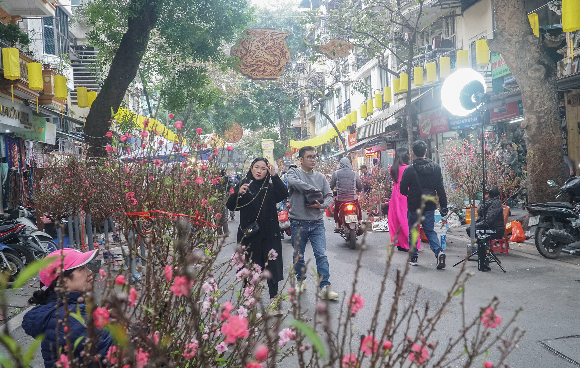 Hà Nội: Chợ hoa Hàng Lược nhộn nhịp ngày cuối năm