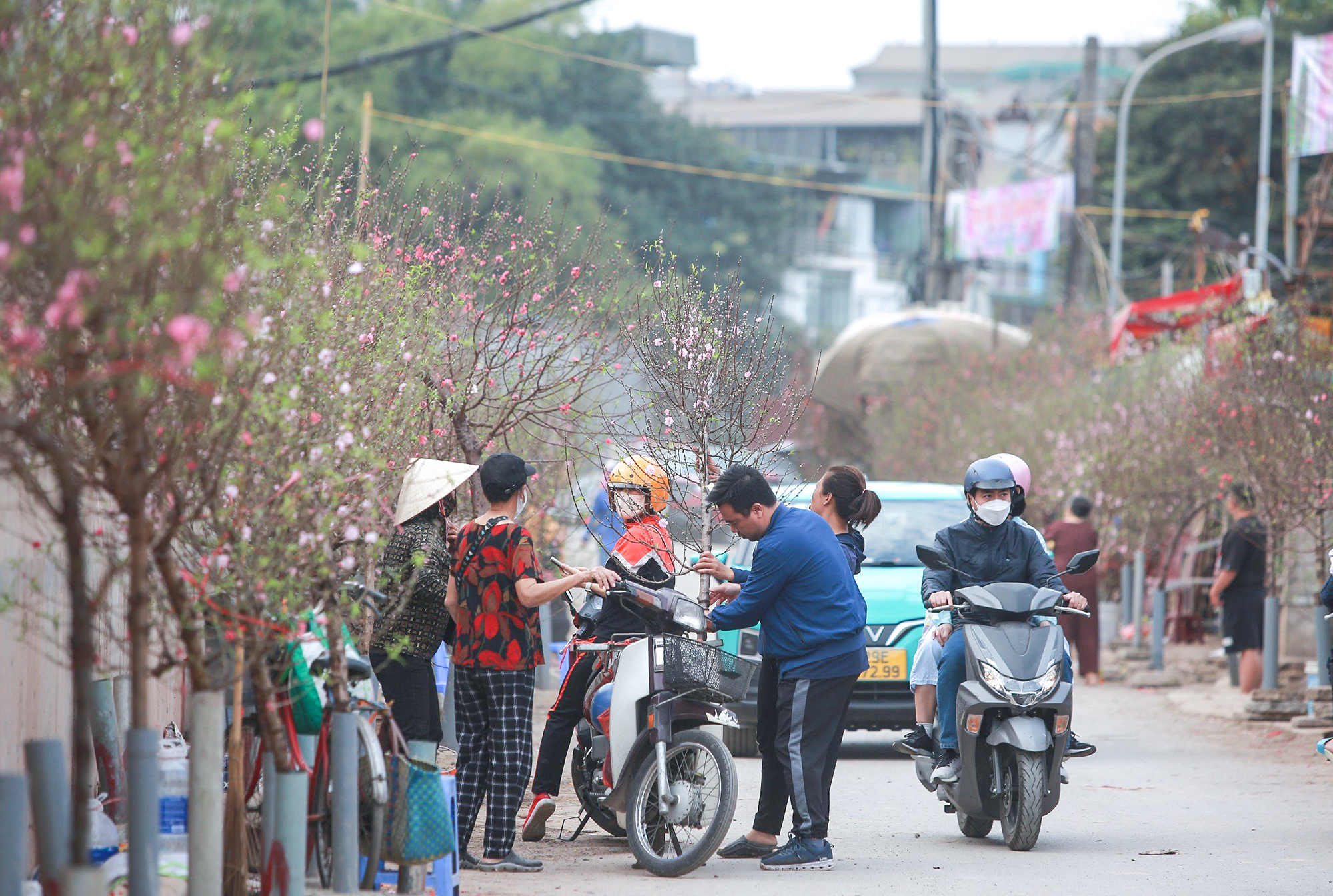 Thị trường hoa nhộn nhịp, sắc xuân tràn ngập phố phường Hà Nội