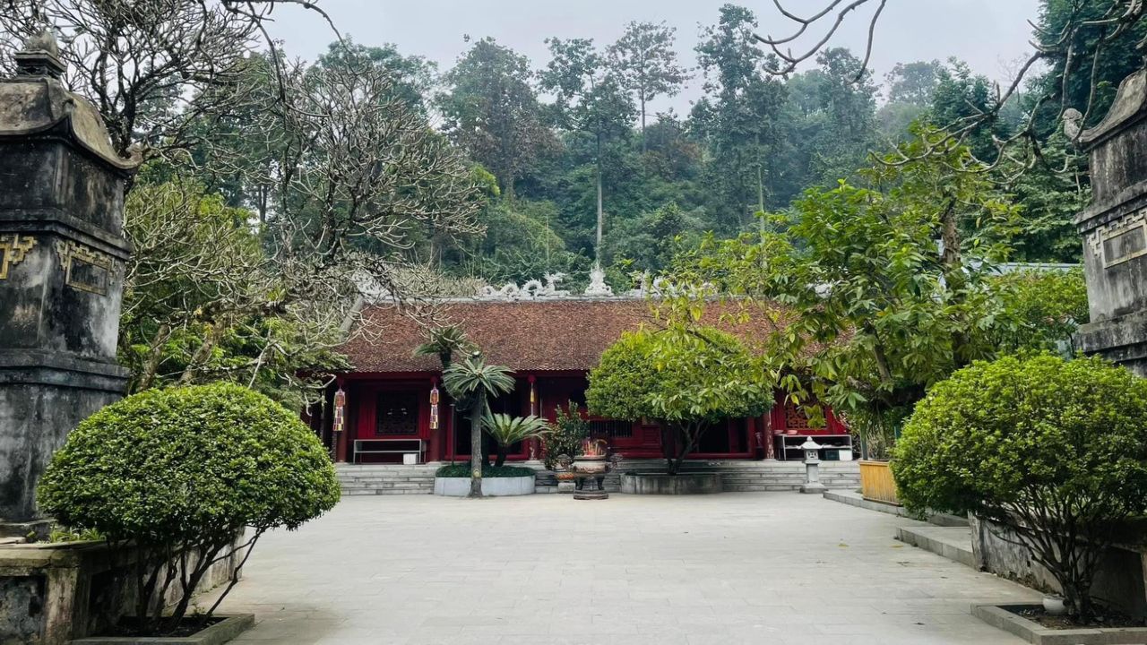 Cây vạn tuế 800 tuổi ở đền Hùng và buổi nói chuyện của Bác Hồ với Đại đoàn quân Tiên phong