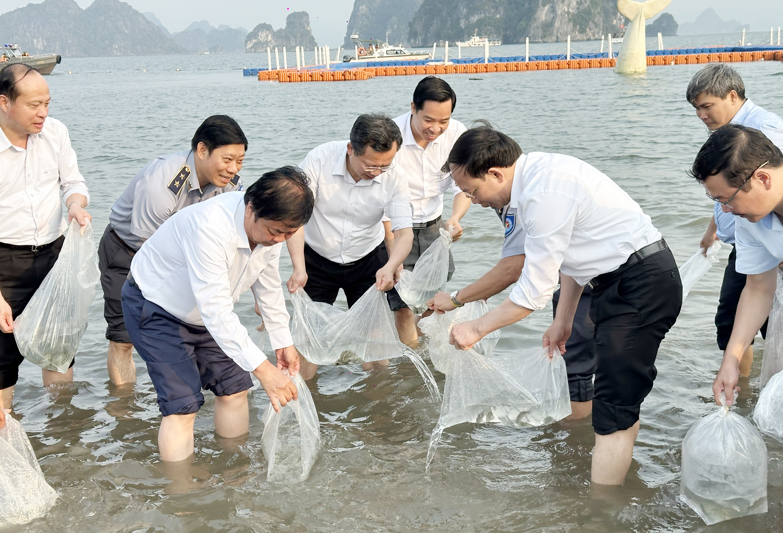 Quảng Ninh thả 5 triệu con giống xuống biển để tái tạo nguồn lợi thuỷ sản