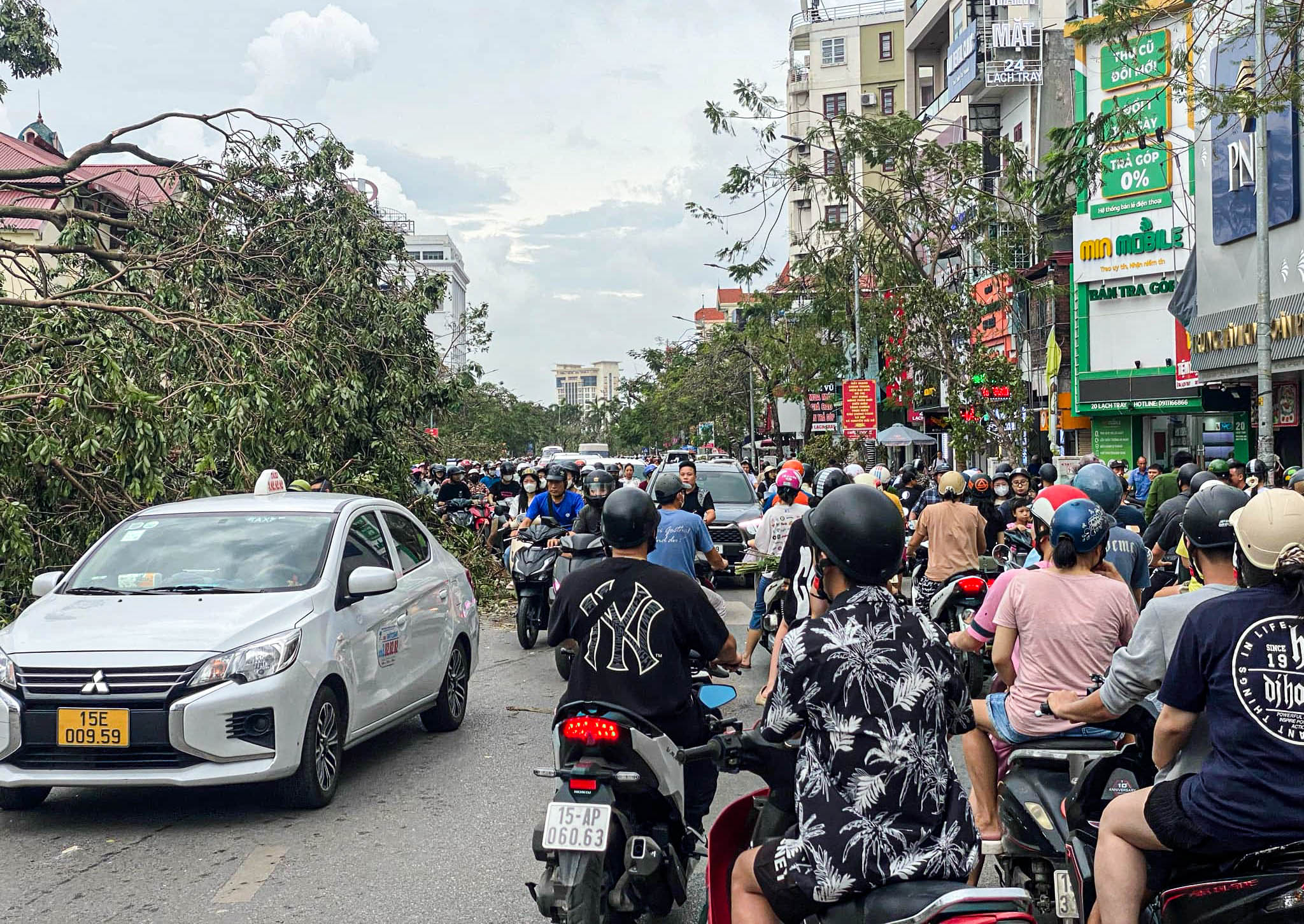 Cây xanh vẫn la liệt trên phố sau bão số 3, Hải Phòng huy động tổng lực dọn dẹp