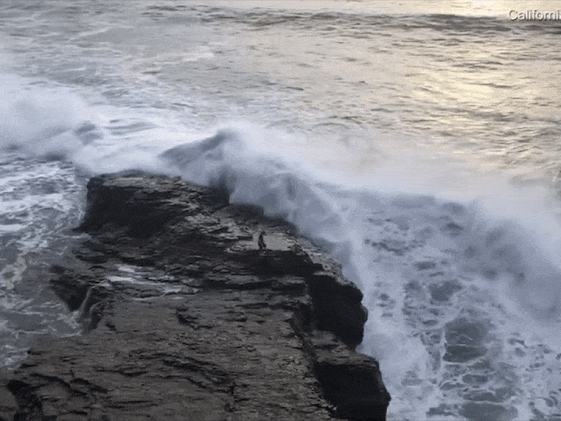 Đi dạo biển, bị sóng khổng lồ cuốn trôi