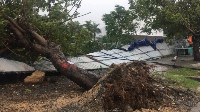 Bão số 12 đã gây thiệt hại tại Phú Yên, Khánh Hòa ảnh 3