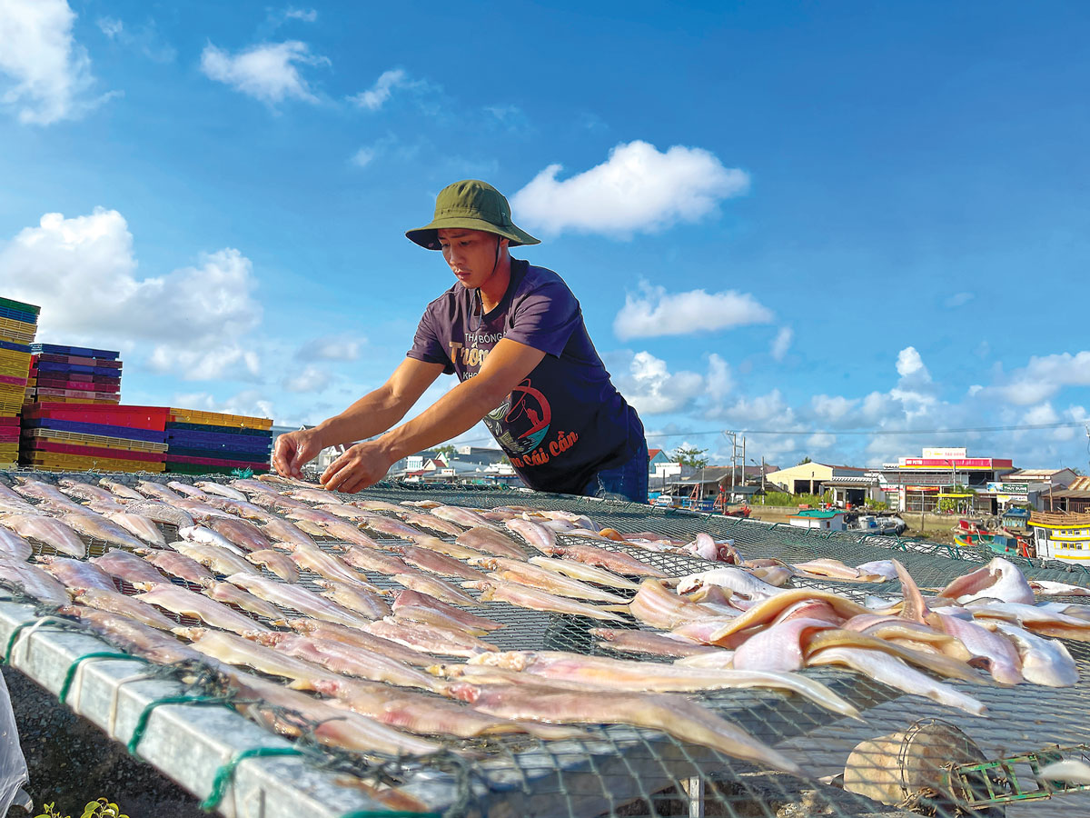 Thành quả sau chuyến ra khơi của ngư dân.