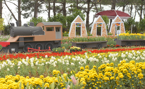 Giá phòng ‘nhảy múa’ dịp Festival hoa Đà Lạt