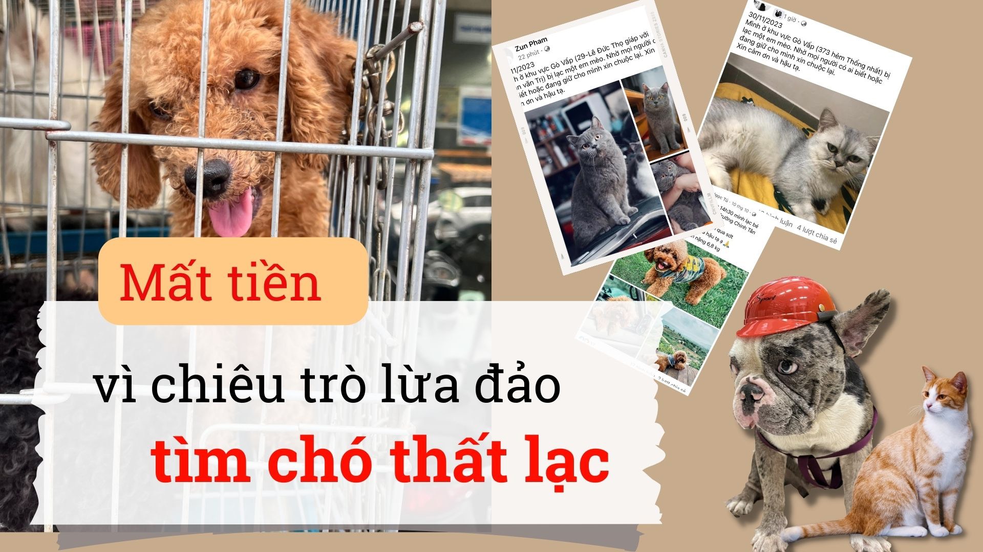 Lợi dụng tình yêu động vật của nhiều người, "cò" tìm chó mèo tung ra nhiều chiêu trò để dẫn dụ người mất chó chi nhiều khoản tiền lên đến hàng chục triệu đồng