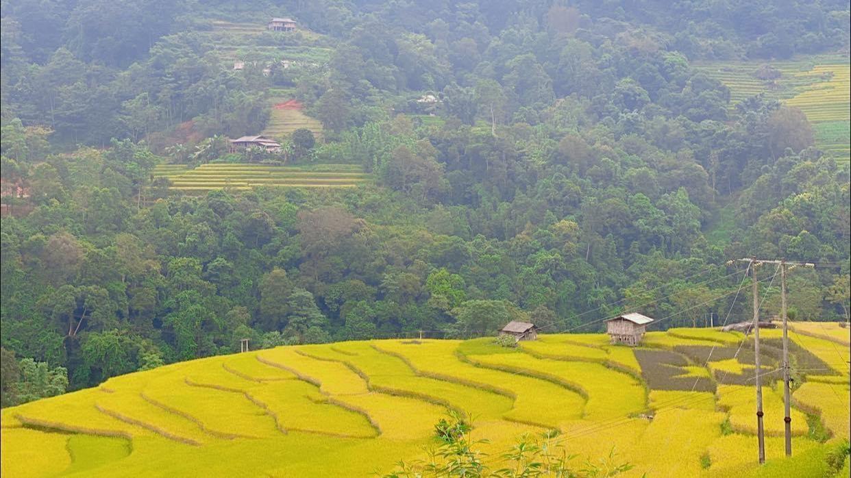 Đừng bỏ lỡ cung đường chiêm ngưỡng ruộng bậc thang Hoàng Su Phì, Hà Giang