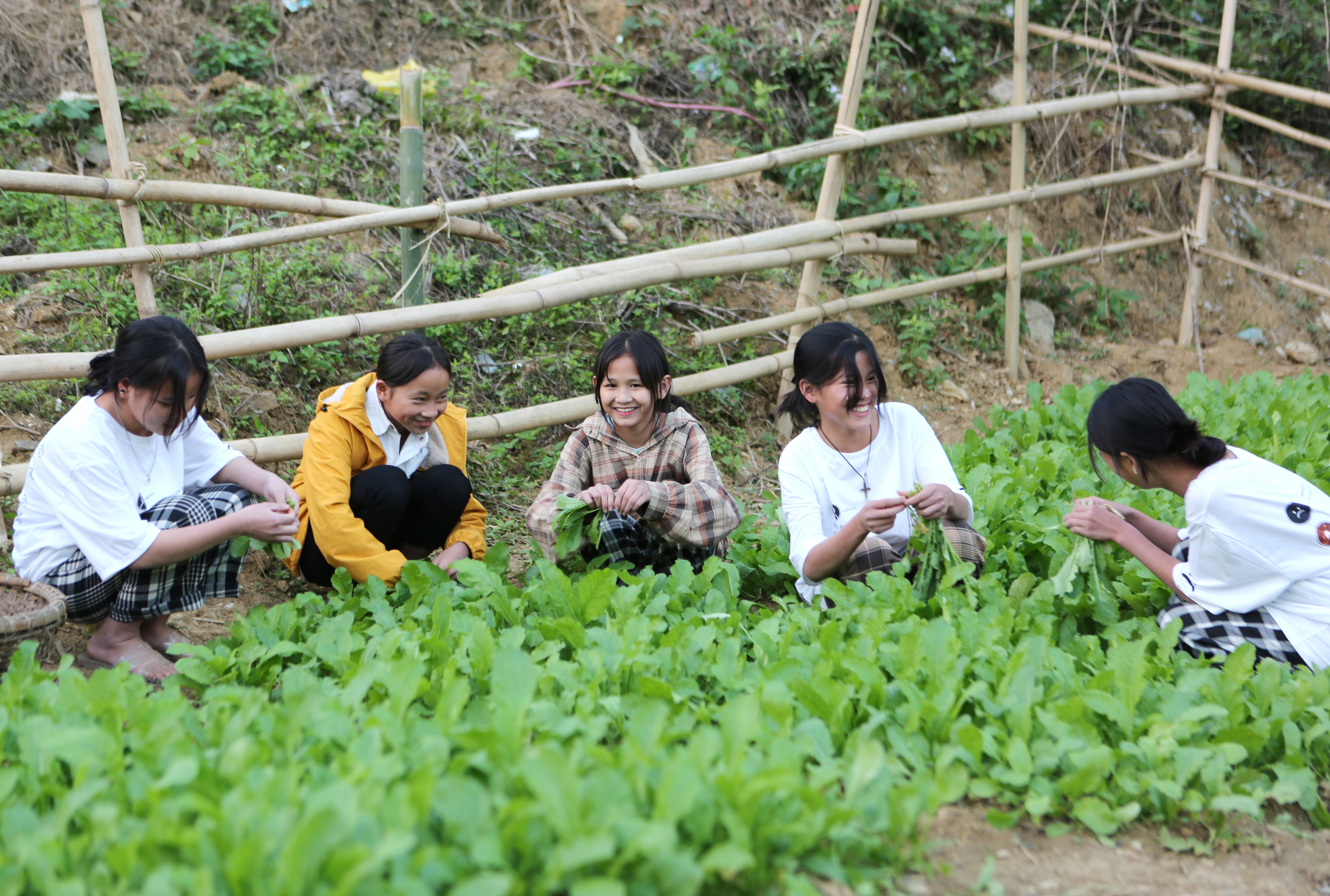 Có một ngôi trường ở biên giới trồng rau gây quỹ lớp giúp bạn khó