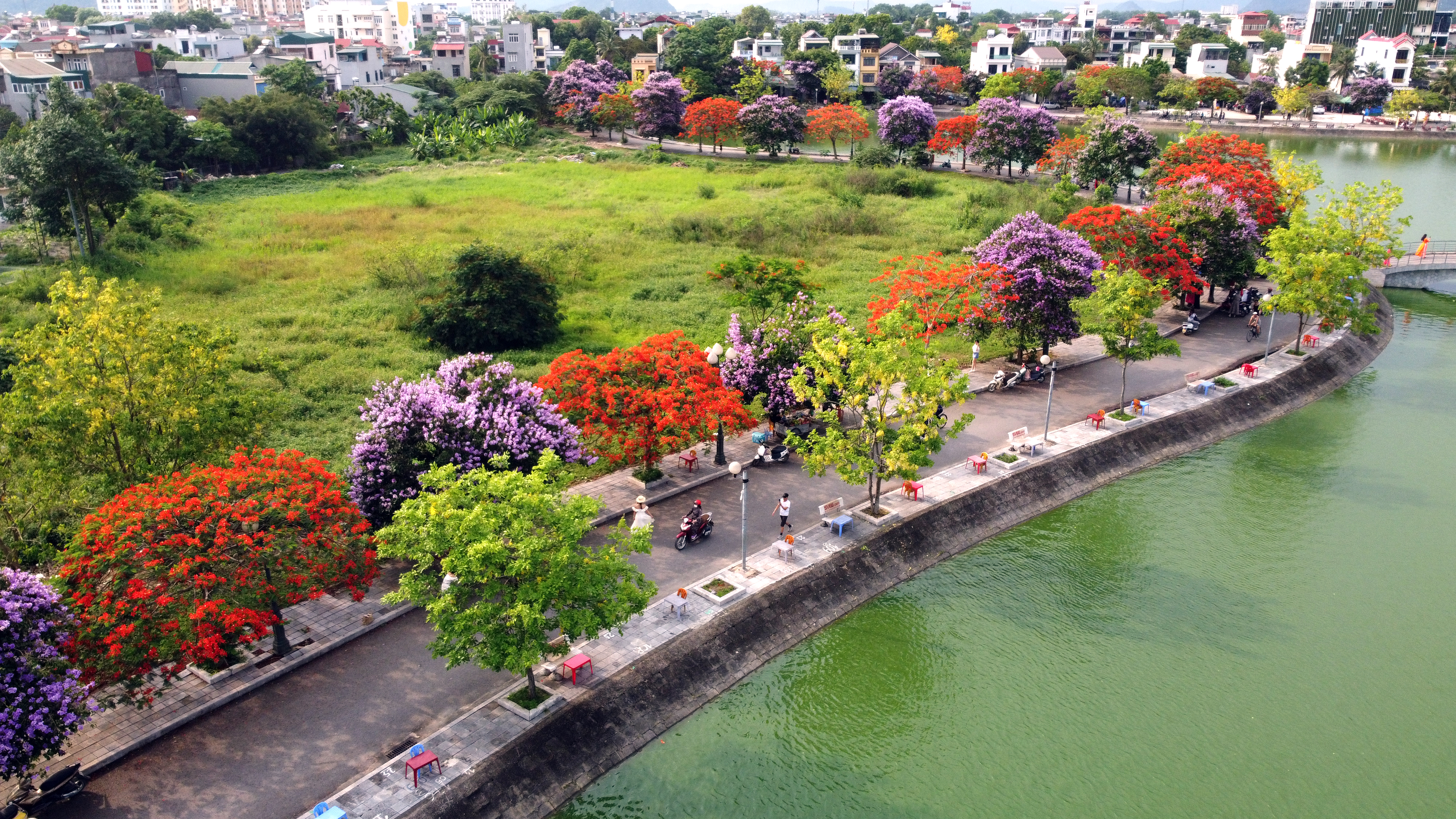 Nhiều người đổ xô đến Công viên Hồ Đồng Chiệc chụp ảnh