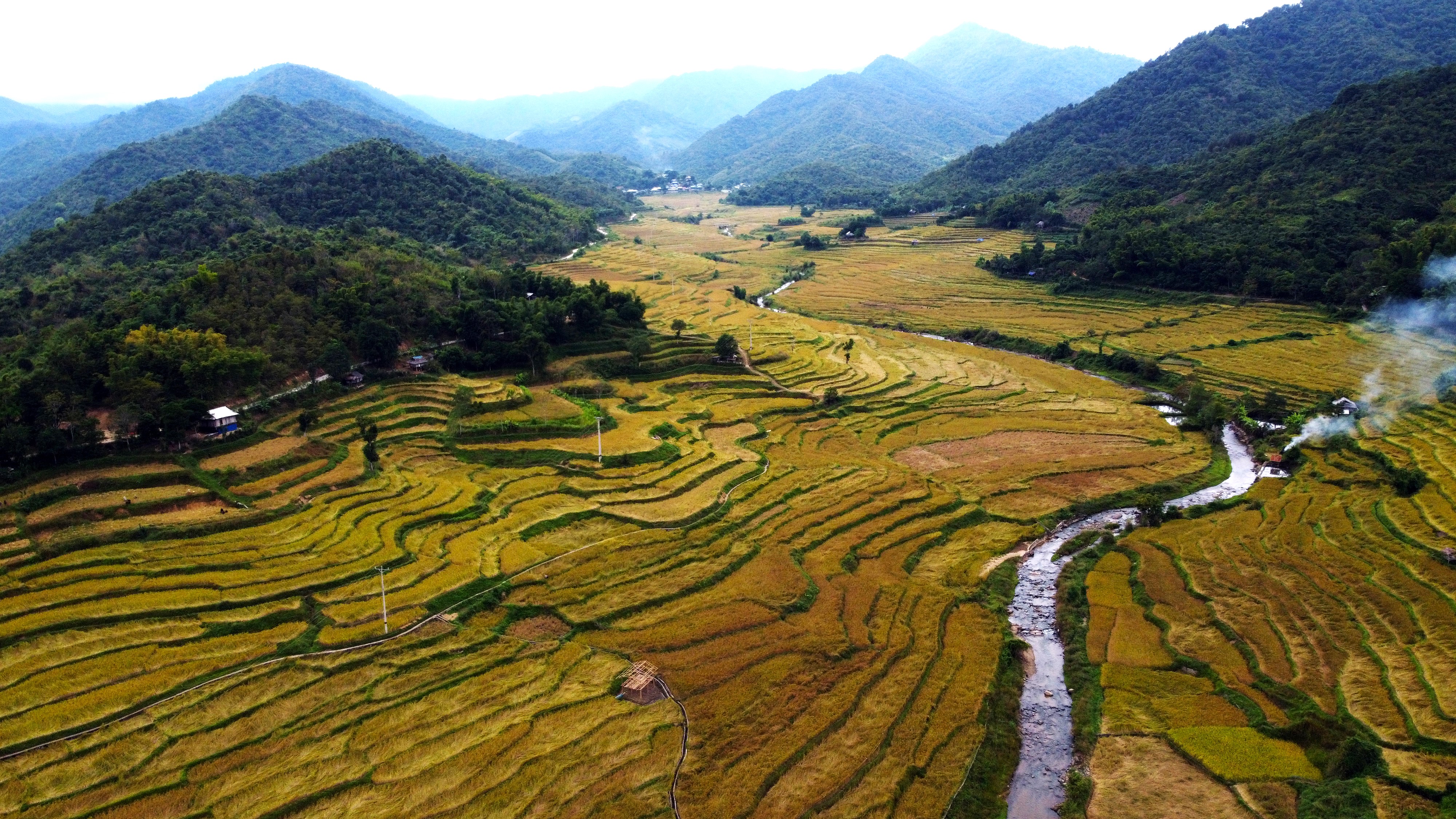 Ngắm mùa vàng trên ruộng bậc thang đẹp như thiên đường ở vùng biên xứ Thanh