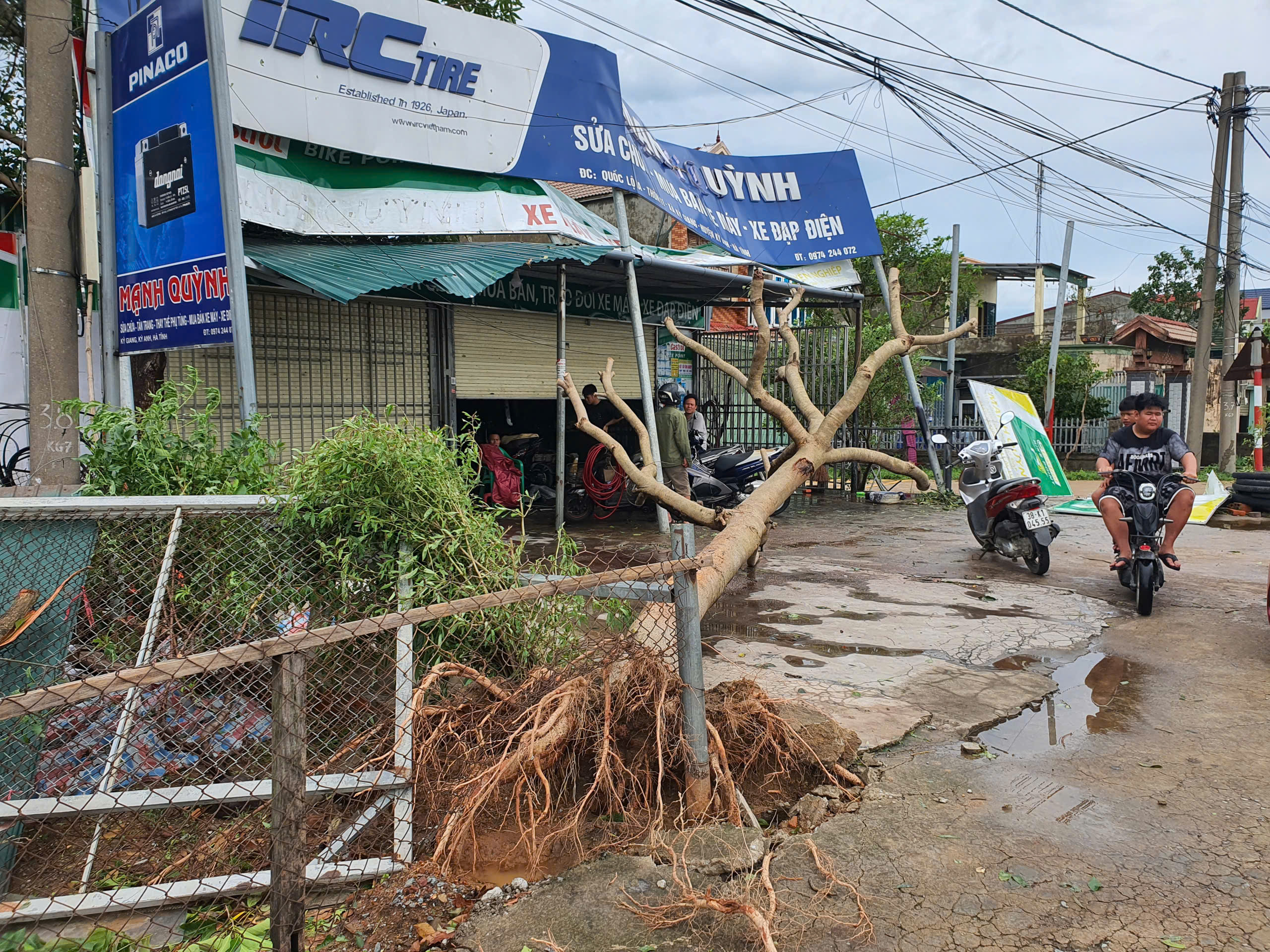 Cây xanh gãy đổ la liệt, người dân Hà Tĩnh tất bật dọn dẹp sau bão số 5