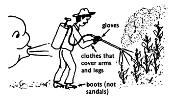 Xử trí khẩn cấp khi bị ngộ độc thuốc trừ sâu