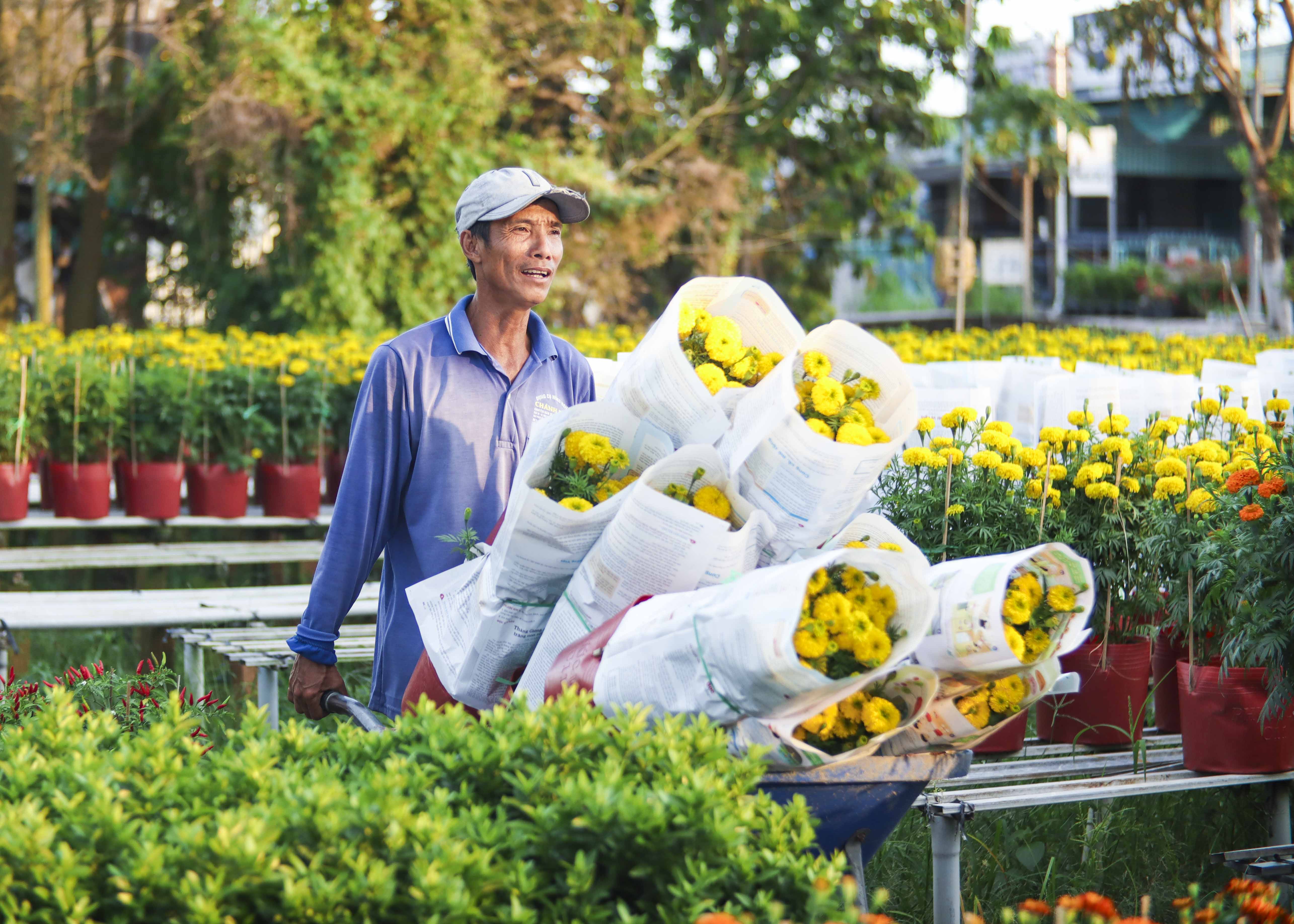 Làng hoa Sa Đéc sẳn sàng phục vụ thị trường tết