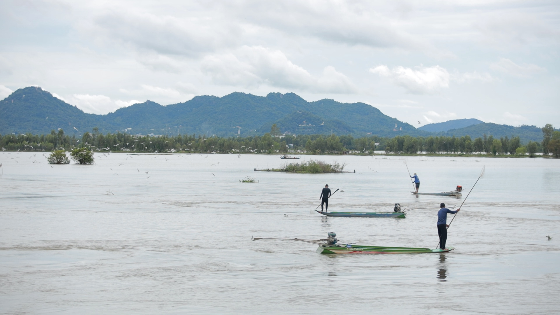 Người dân An Giang đổ xô đi bắt cá linh ở Cống Tha La