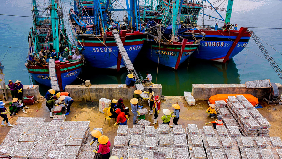 Ngư dân Nghệ An làm giàu từ biển