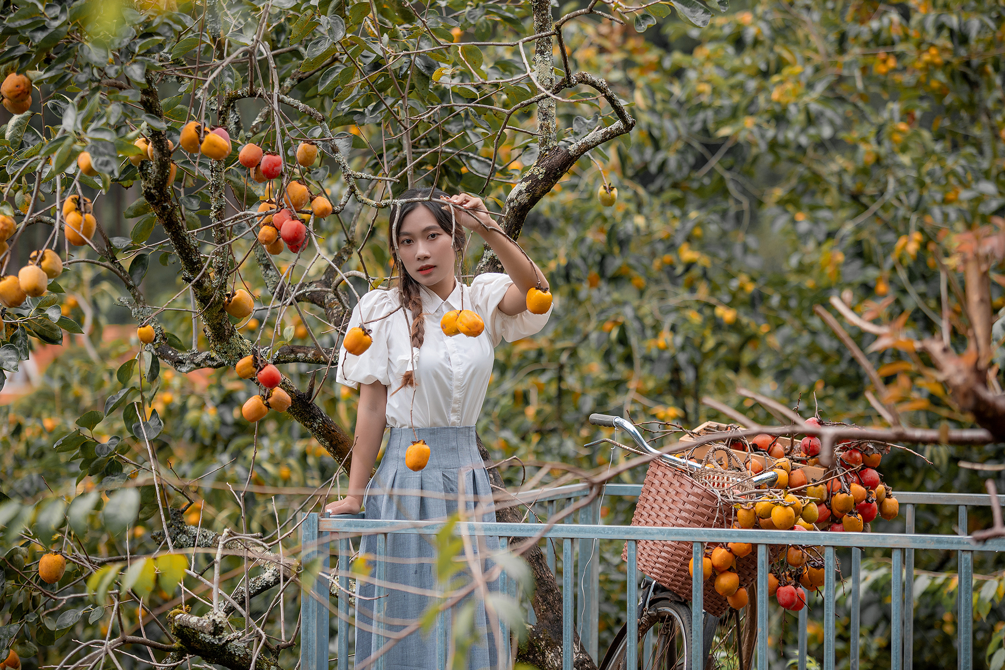 Đà Lạt với 'đặc sản mùa thu' níu chân du khách