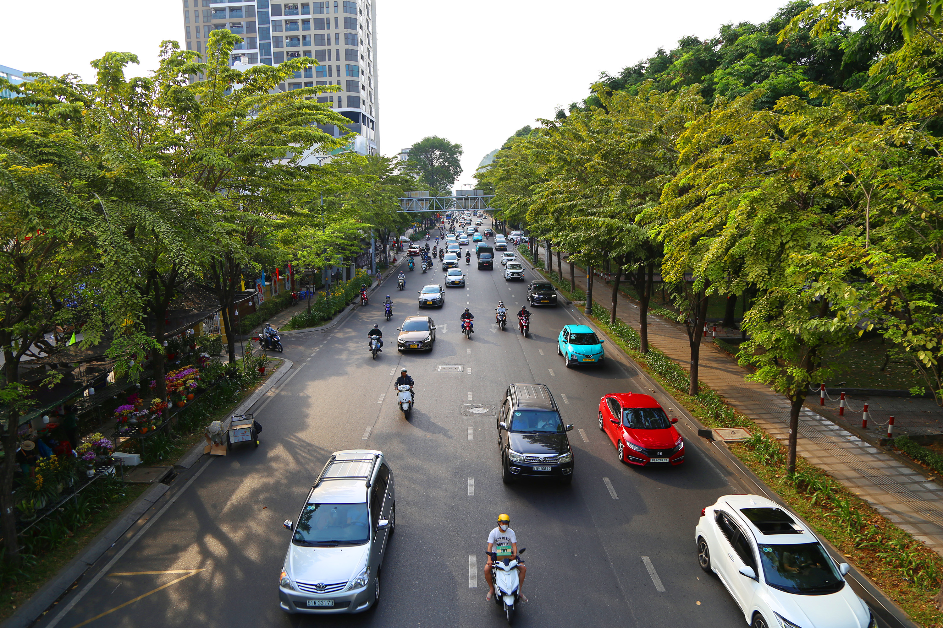 Hình ảnh đường phố TP.HCM những ngày cuối năm Giáp Thìn