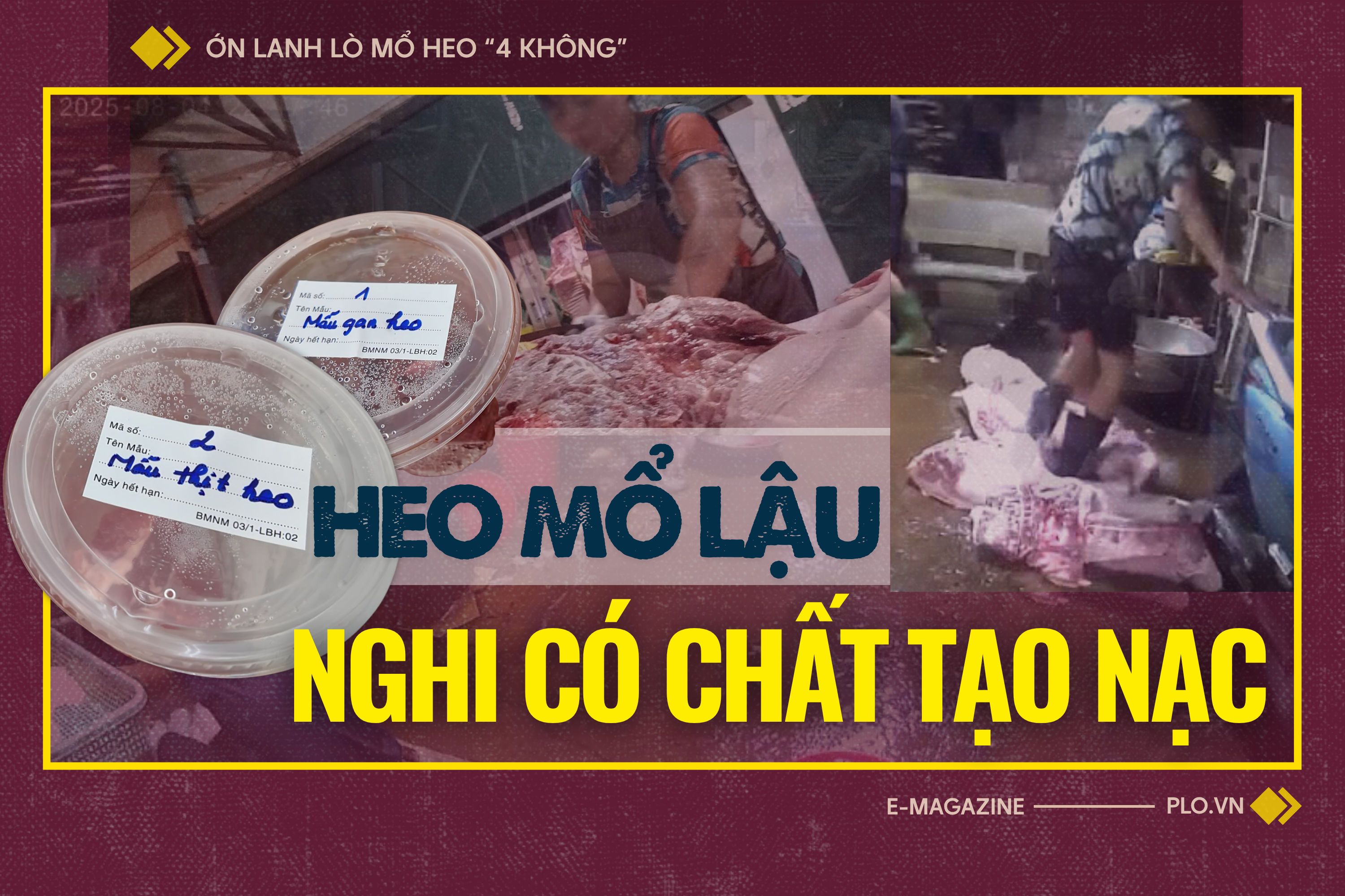 Ớn lạnh lò mổ heo '4 không' - Bài 2: Lo thịt nhiễm khuẩn, nghi có chất tạo nạc 
