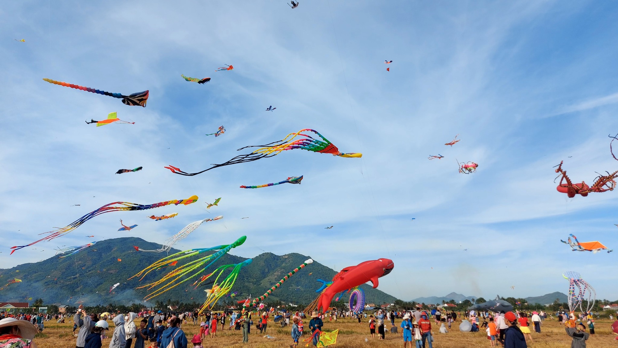 Hàng trăm con diều hải sản bay lượn trên đồng lúa Diên Khánh 