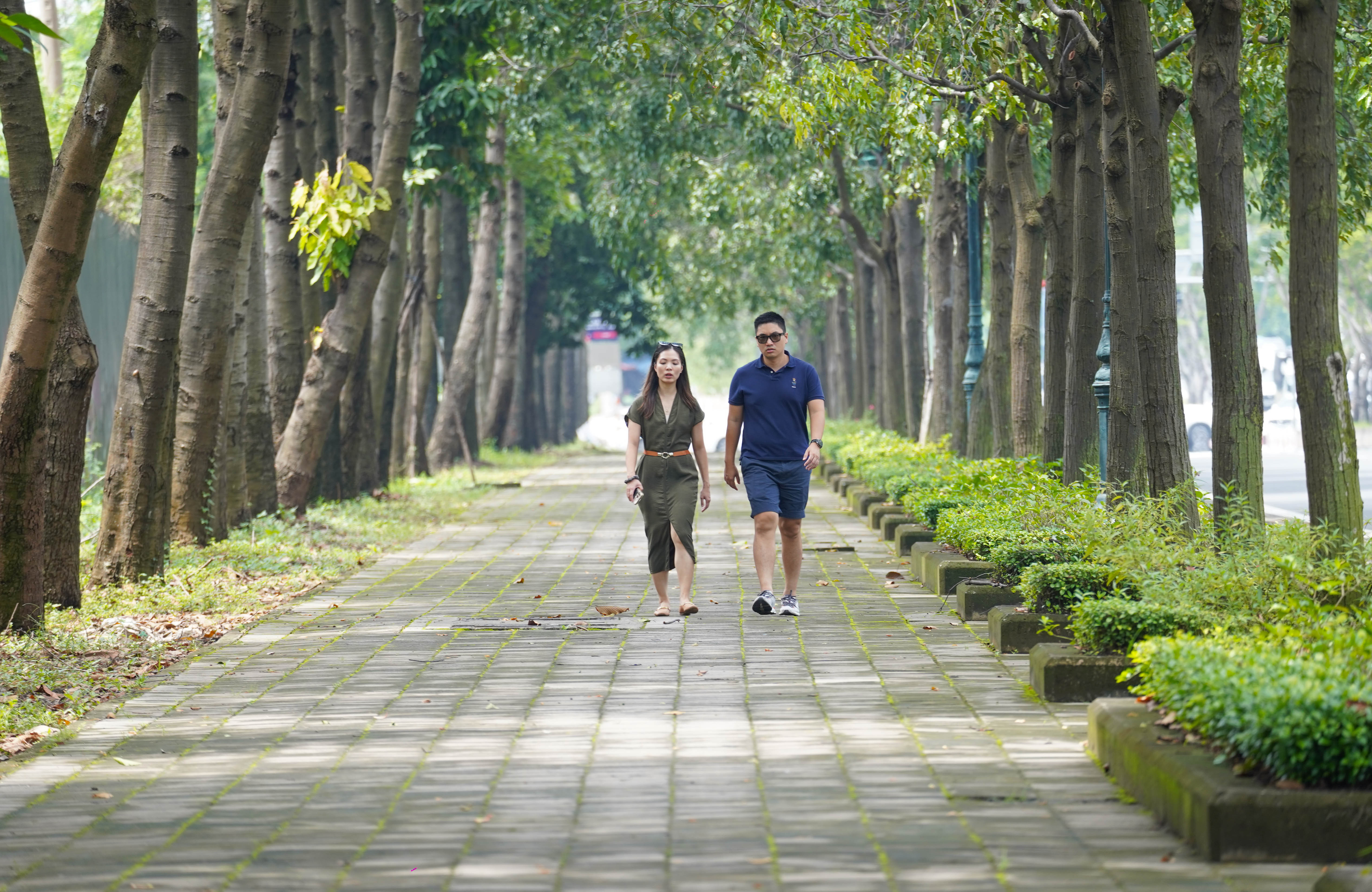 Mặt bằng rộng rãi, rợp bóng cây xanh trên tuyến đường sắp có làn ưu tiên cho xe đạp