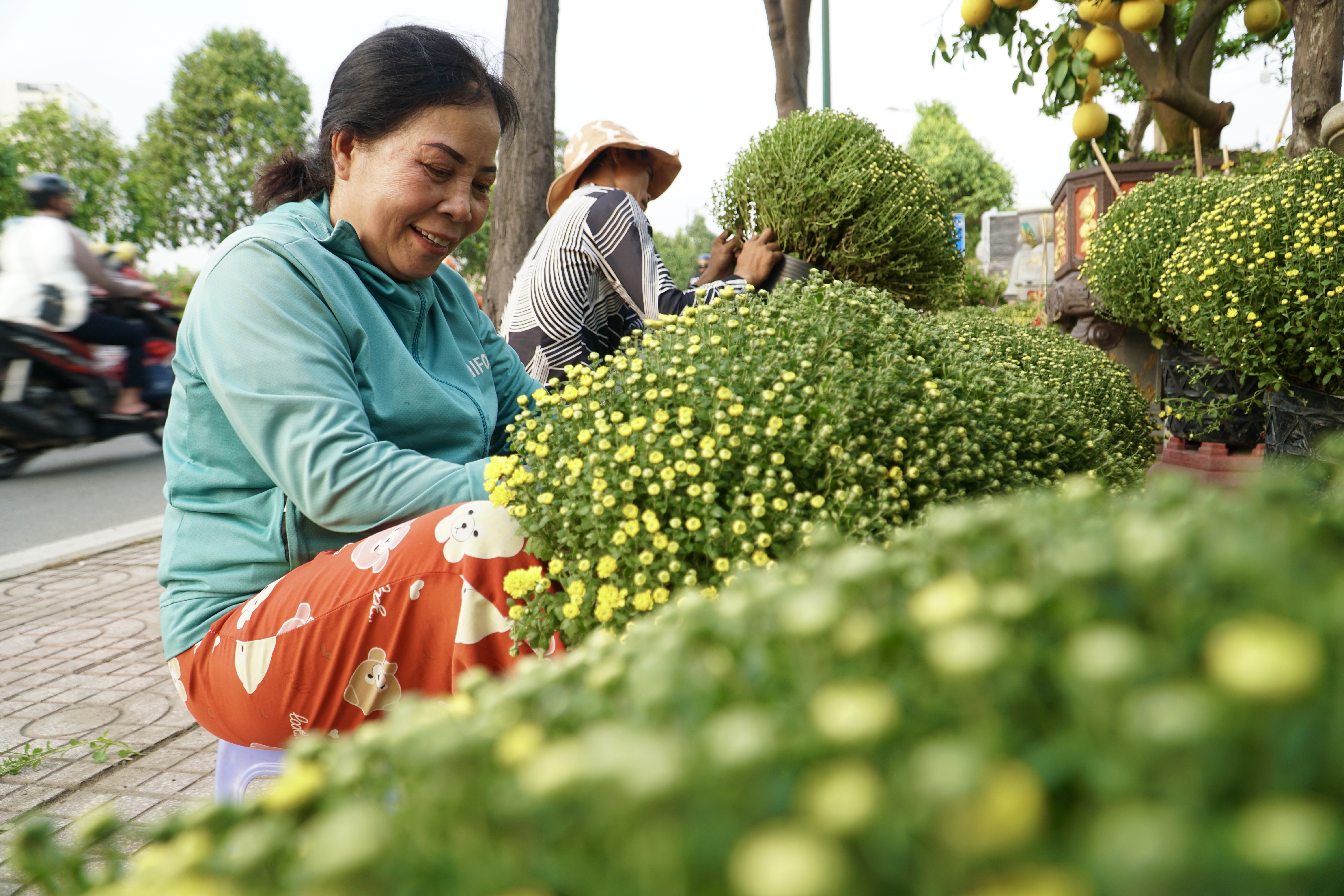  Ngập tràn cây cảnh trên đại lộ đẹp nhất TP Thủ Đức