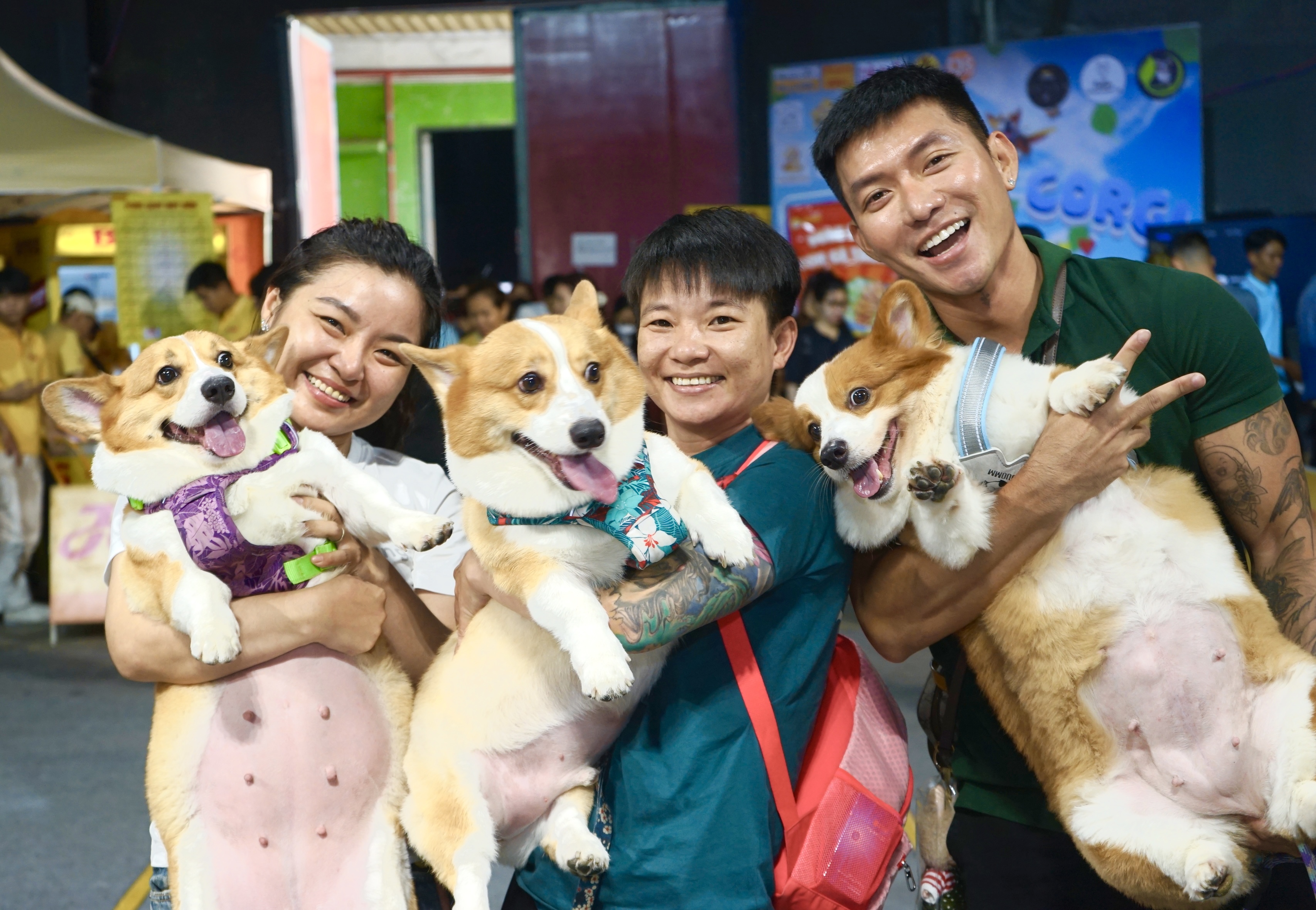 Nhiều 'thí sinh' chó mèo cùng đọ dáng, khoe sắc tại Vietnam Pet Festival 2024