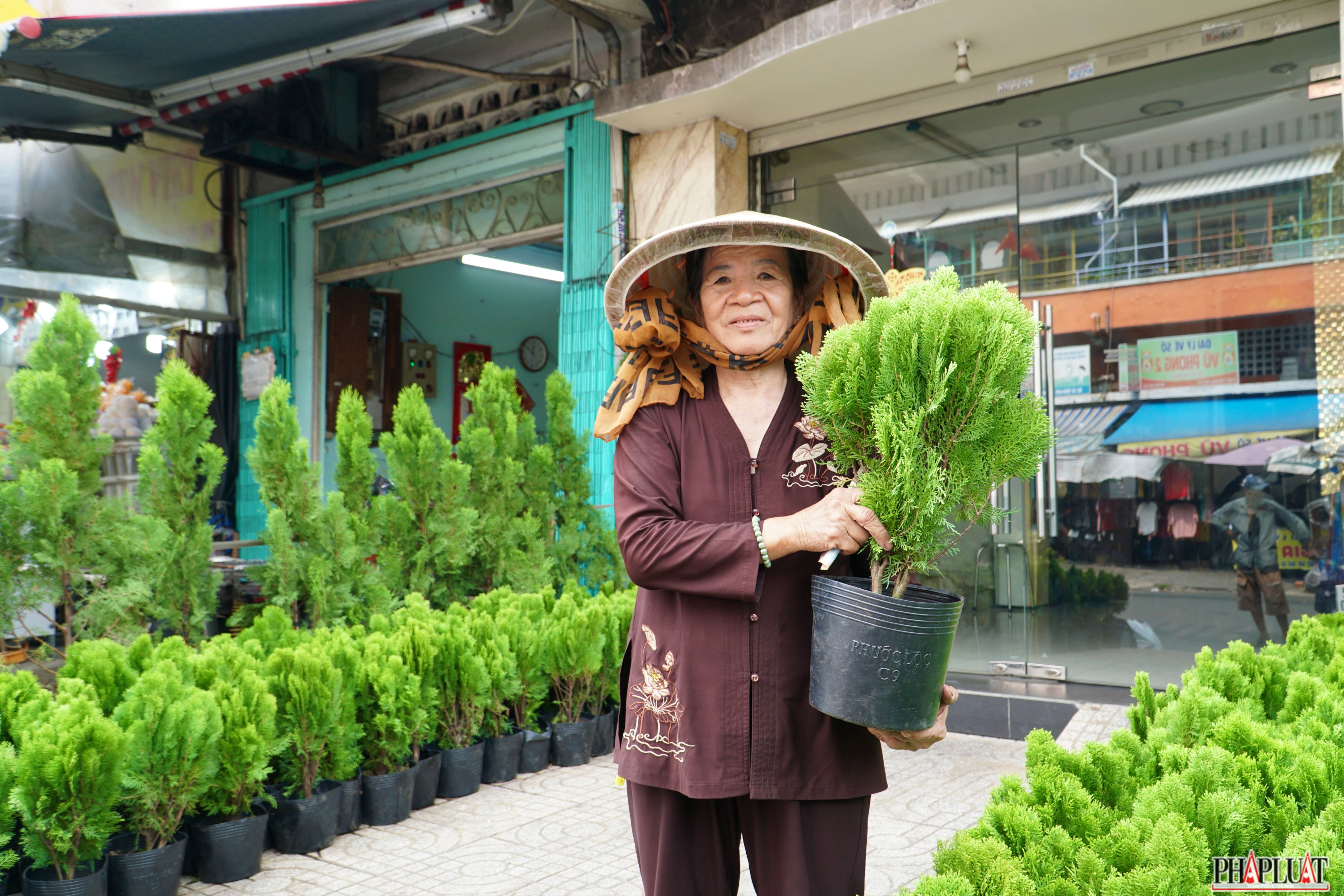 Người dân mua lá bưởi, trắc bách diệp để 'xả xui' đón Tết