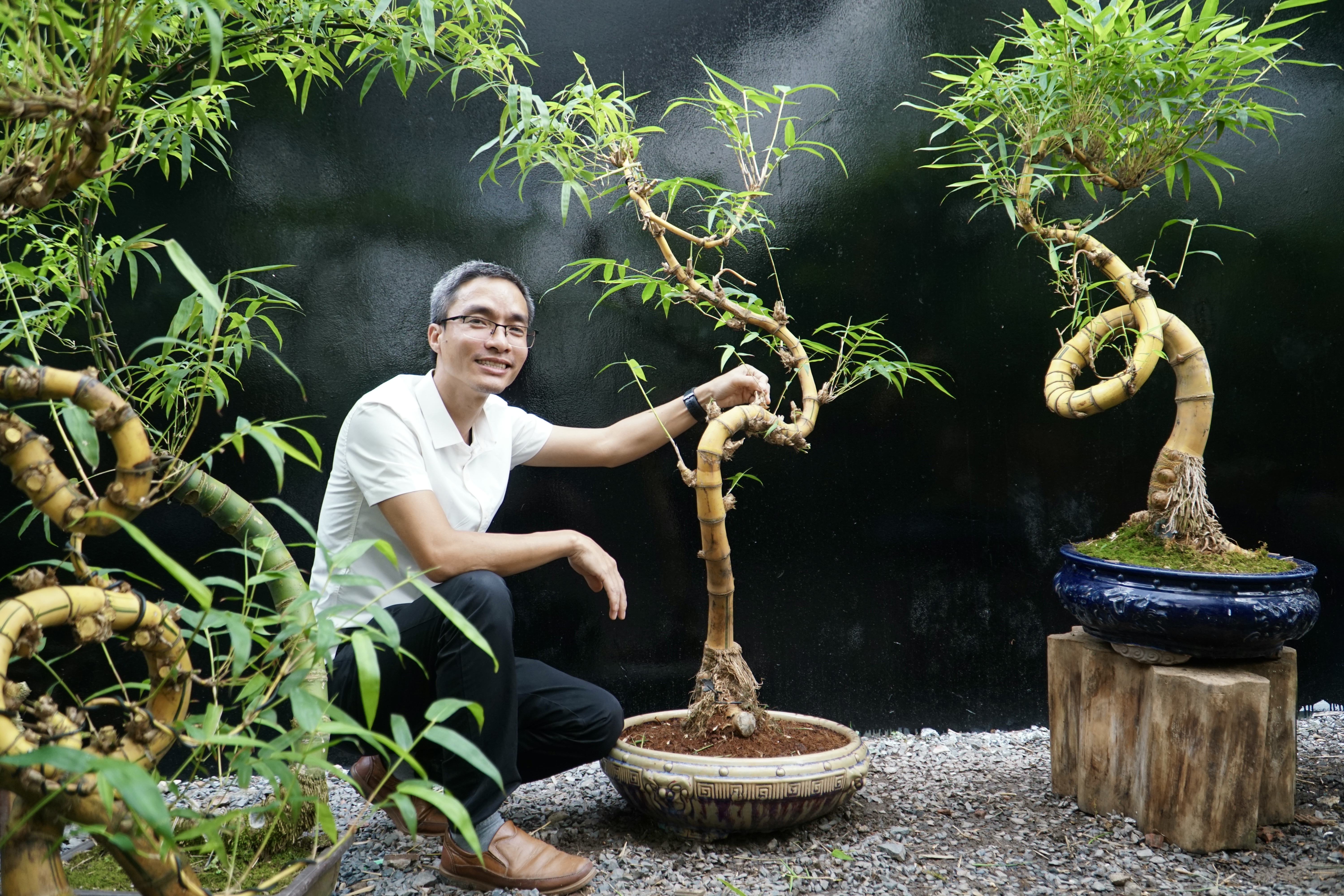 Chàng kỹ sư công nghệ thông tin tạo tác hàng chục chậu tre bonsai dáng rắn đón xuân