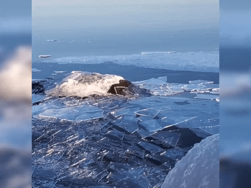 Thú vị nghe âm thanh hàng ngàn mảnh băng dạt vào bờ
