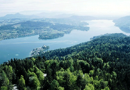 Chính trị gia Áo bị chụp cảnh “mây mưa trong rừng” ảnh 1