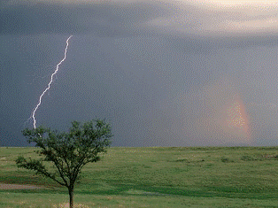 Hai cầu thủ bị sét đánh chết trong trận đấu!