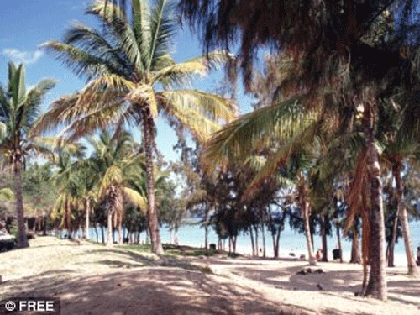 Cá mập cắn đứt tay chân một người lướt sóng! ảnh 2