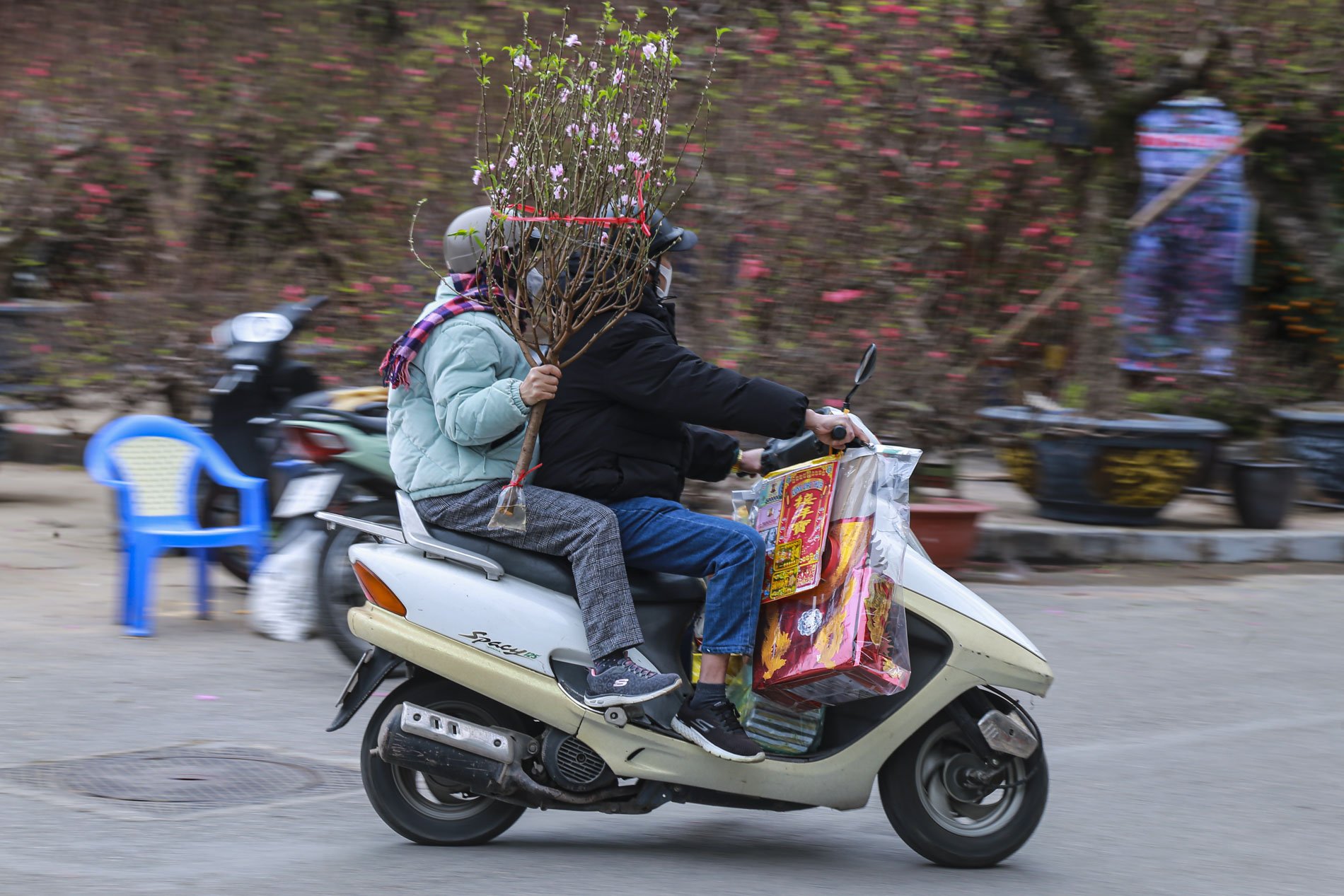 Chợ hoa Hà Nội nhộn nhịp ngày cuối năm